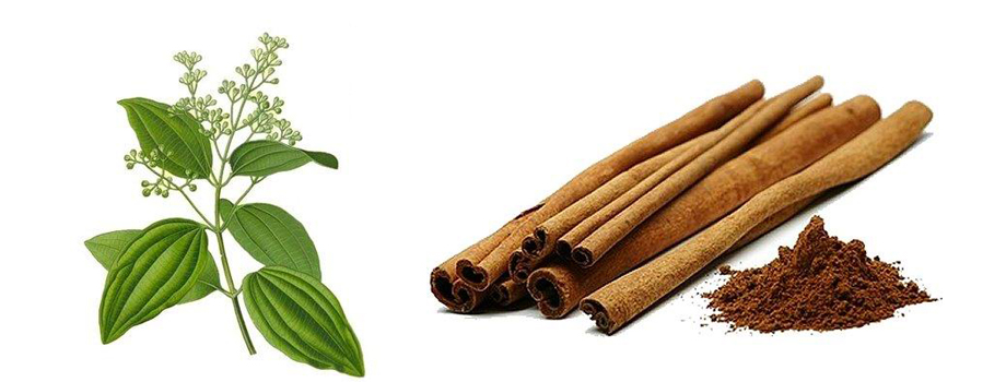 Sri Lankan Cinnamon
